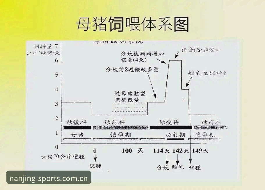 江南体育使用教程安卓版详解：从安装到赛事数据评测全流程指南